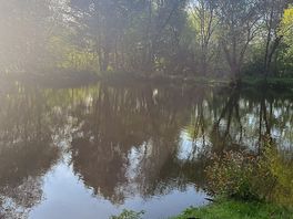 The serenity of this place though.