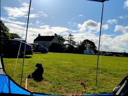 Lovely morning view