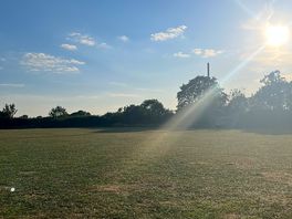 Peaceful evening on site