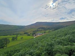 A short walk from the camp site