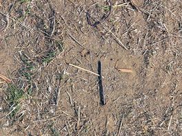 Nail on ground