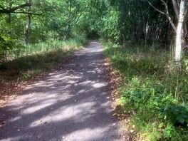 Local area was great for walking and cycling