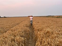 The field on the way to the beach