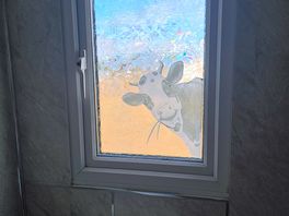 Love the windows in toilets!
