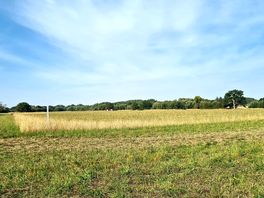 The view from our pitch.