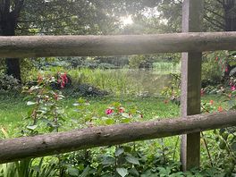 A lovely pond down spout hill