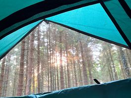 The morning view from my bed.