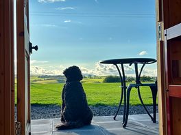 My dog enjoying the view