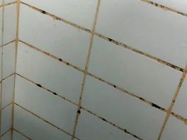Schimmel in de badkamer