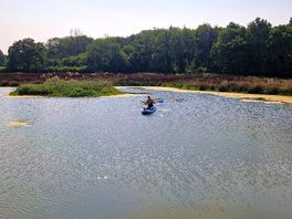 Kayak