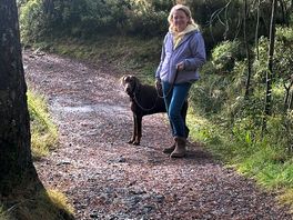 Dog walks