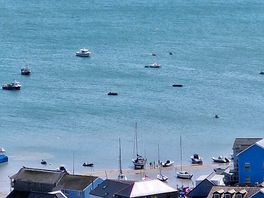 New quay from the coast path