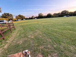 Field