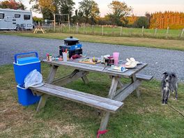 Set up