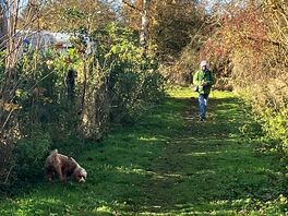 Lovely walk on the old disused railway