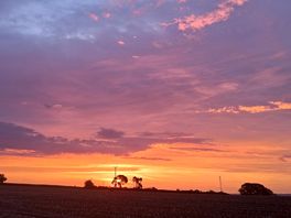 Sunrise