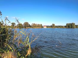The lake