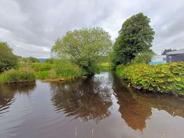 Peaceful surroundings