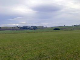 Nice big spacious field