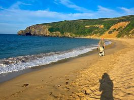 The beach