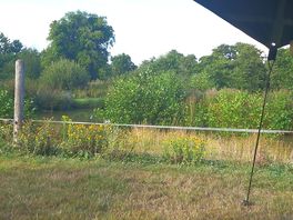 Lake on the campsite