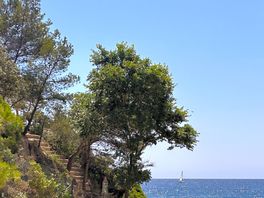 Widok z plaży