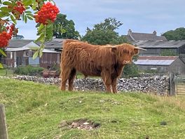 Friendly neighbours!