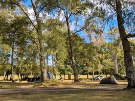 View from caravan