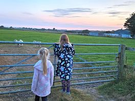Farm across the road