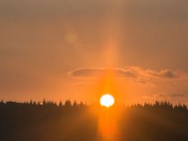 Sunset at bracelands