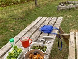 Picnic benches!