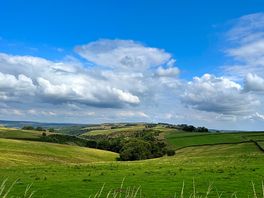 Views around campsite