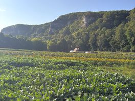 Scenery