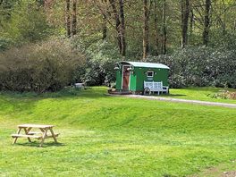 Little shepherd huts are dotted around the site