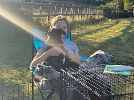Relaxing in the sunshine