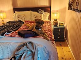 Our dog having time of her life