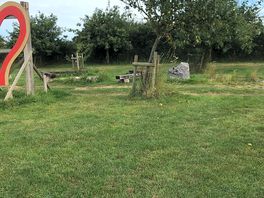 Orchard setting