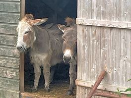Peel farm