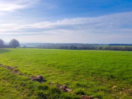 Views on the farm walk