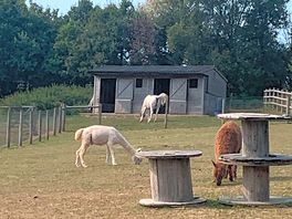 Friendly neighbours