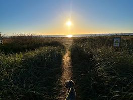 Beautiful beach