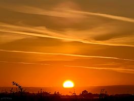 Skegg-vegas sunset