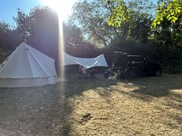 Woodland pitch
