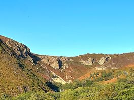 View of scenery from site