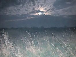 Moon shot from nature walk