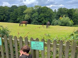 View from play area