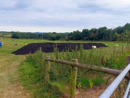 Nearby field