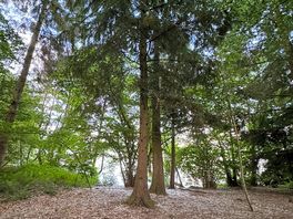 Local walk around colemere
