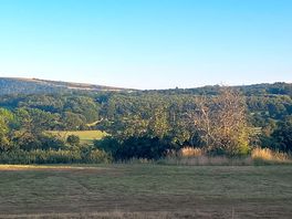 View over the downs