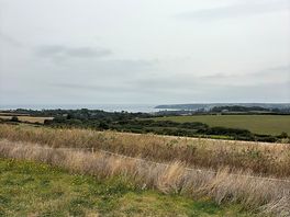 View from tent